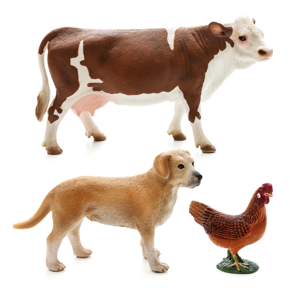 Imagen en la que se ven tres animales: una vaca, un perro y una gallina