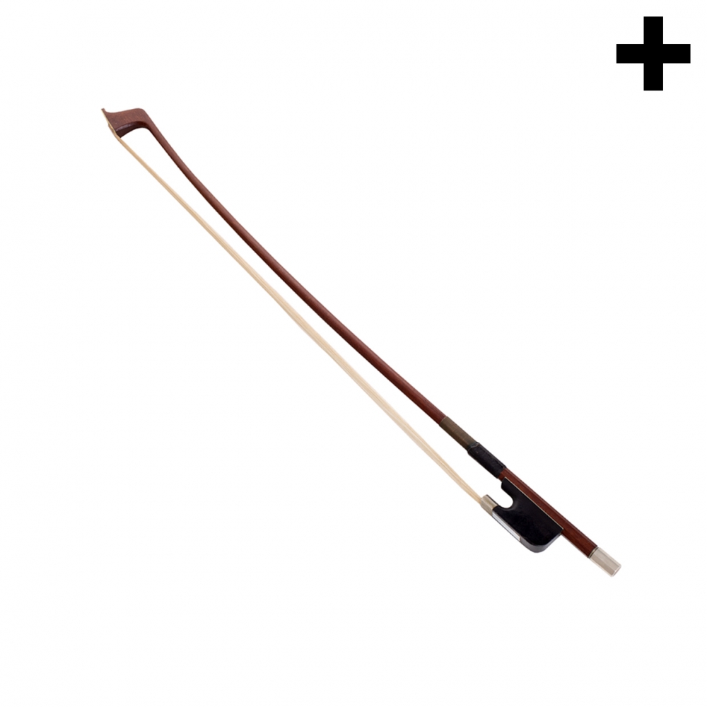 Imagen en la que se ve el plural del concepto arco