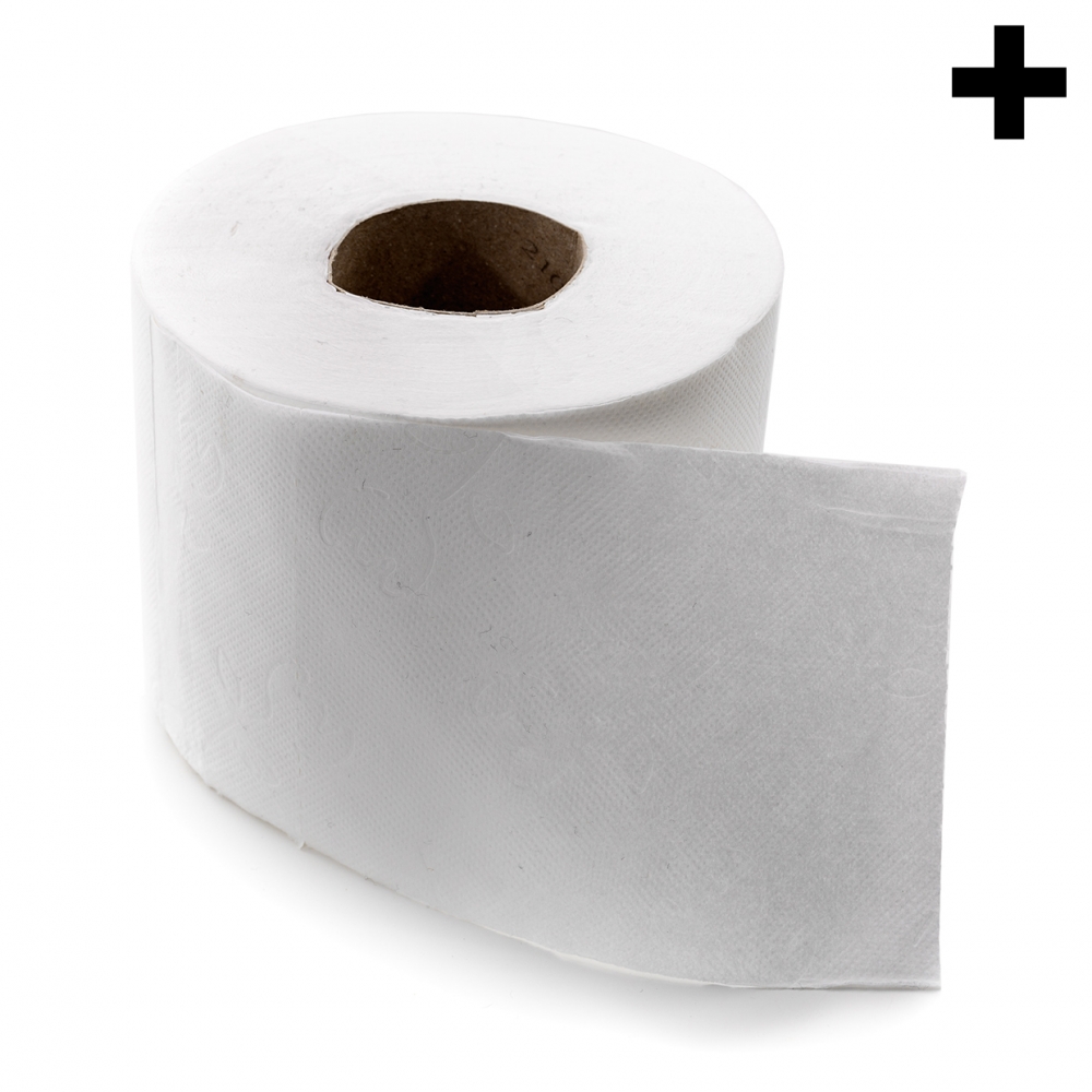 Imagen en la que se ve el plural del concepto rollo de papel higiénico