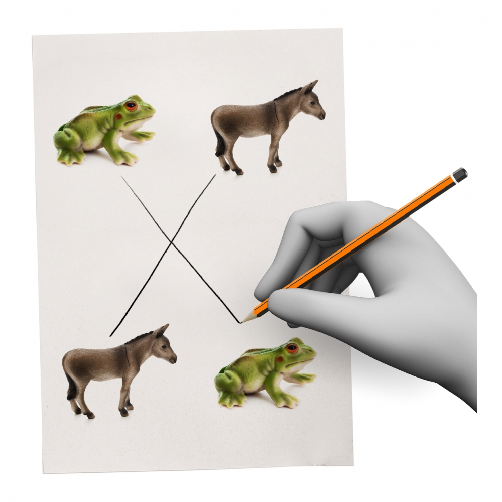 Imagen del verbo asociar