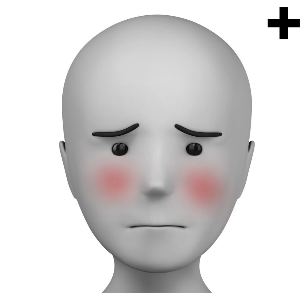 Imagen en la que se ve el plural del concepto avergonzado