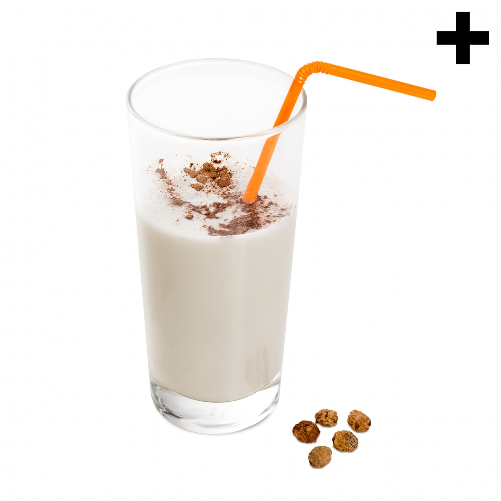 Imagen en la que se ve el plural del concepto horchata