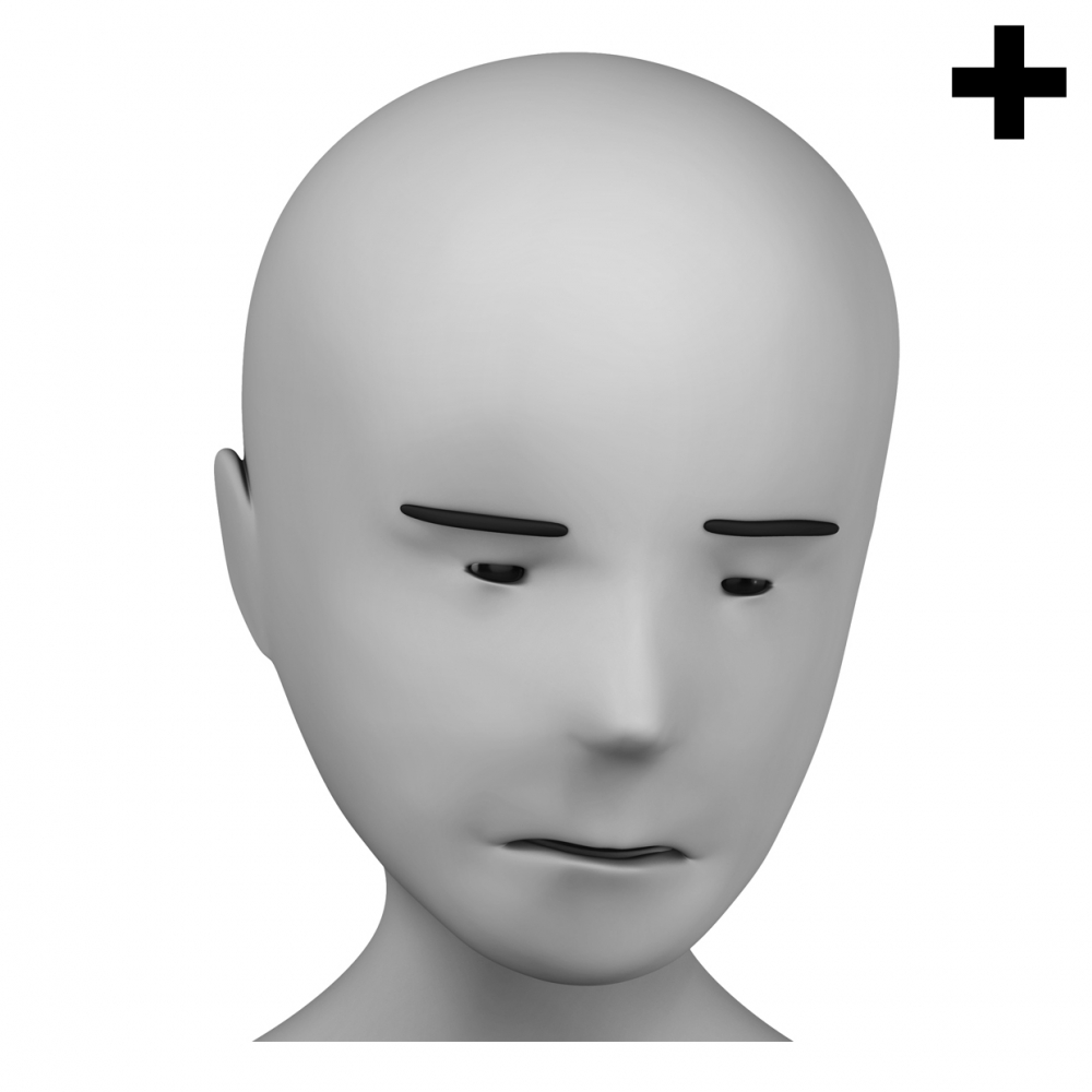 Imagen en la que se ve el plural del concepto cansado