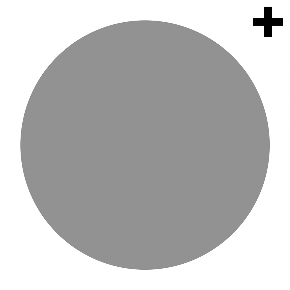 Imagen en la que se ve un círculo de color gris
