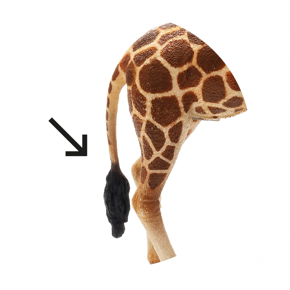 Imagen en la que se ve una cola de animal