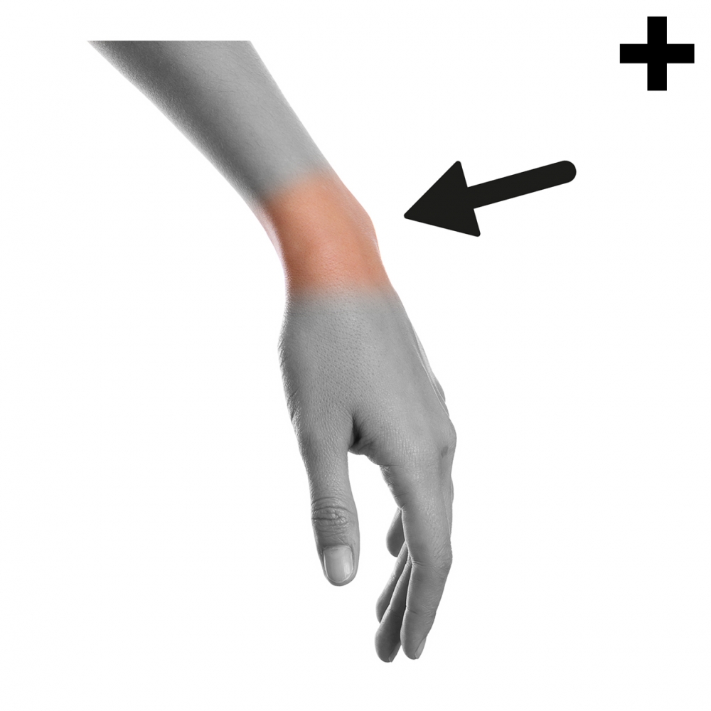 Imagen en la que se ve el plural del concepto muñeca, parte del cuerpo humano