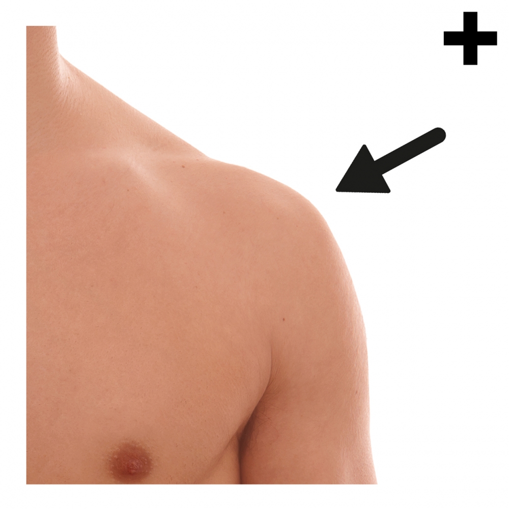 Imagen en la que se ve el plural del concepto hombro