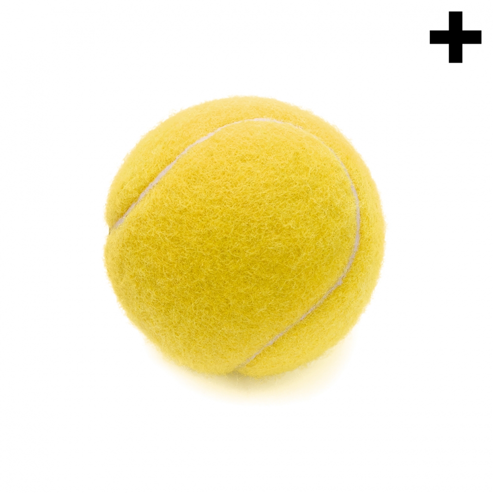 Imagen en la que se ve el plural del concepto pelota de tenis