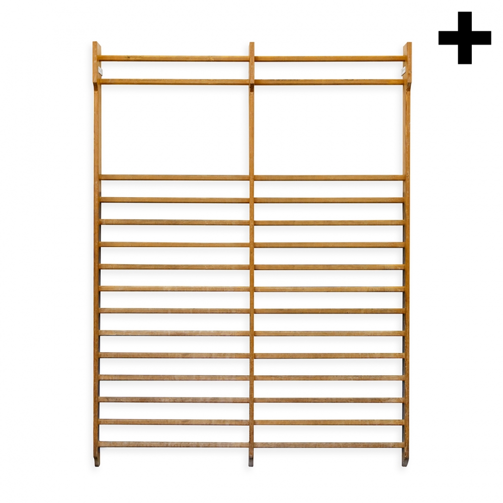 Imagen en la que se ve el plural del concepto espaldera