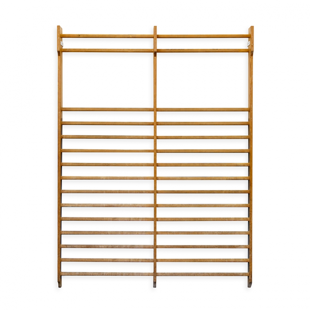 Imagen en la que se ve una espaldera