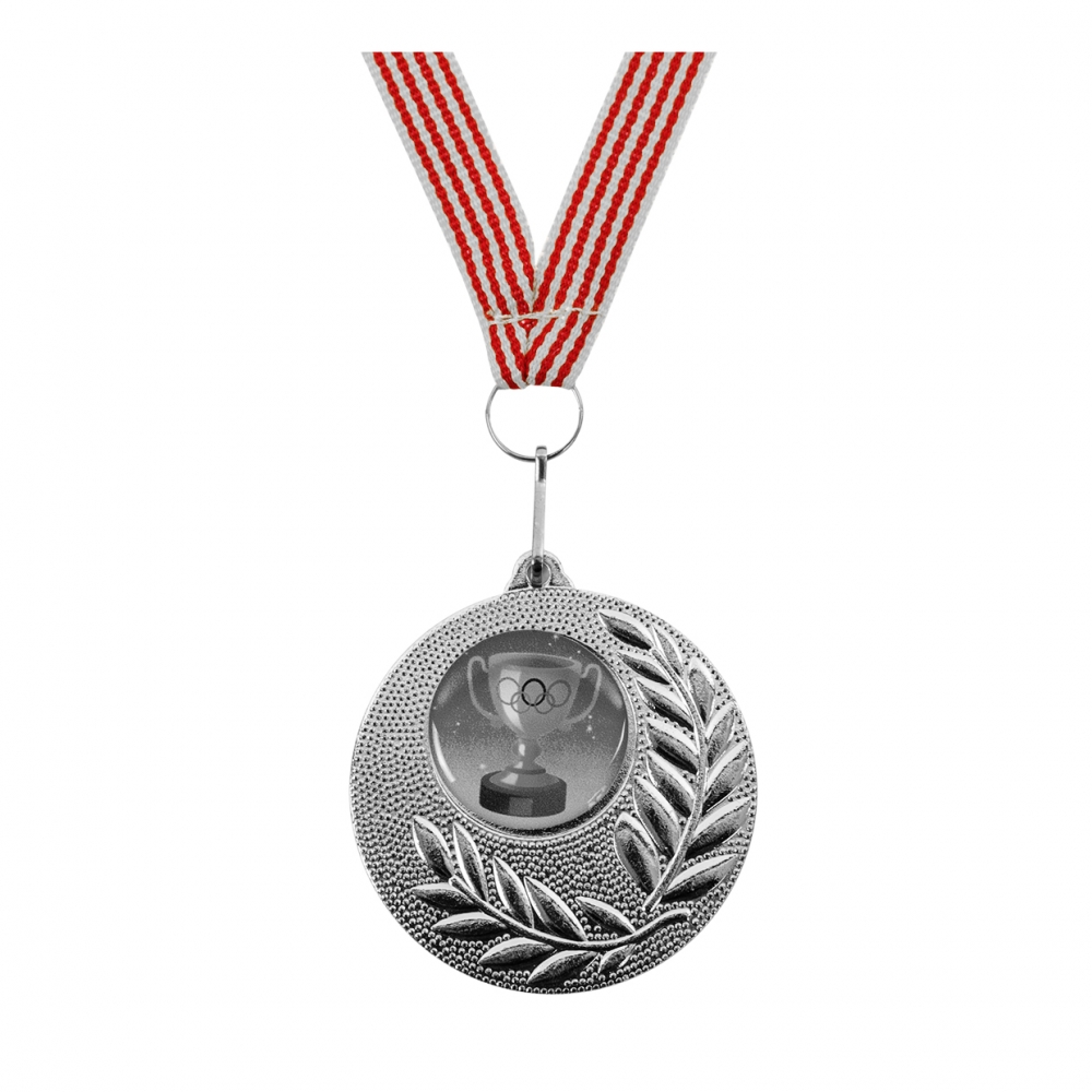 Imagen en la que se ve una medalla de plata