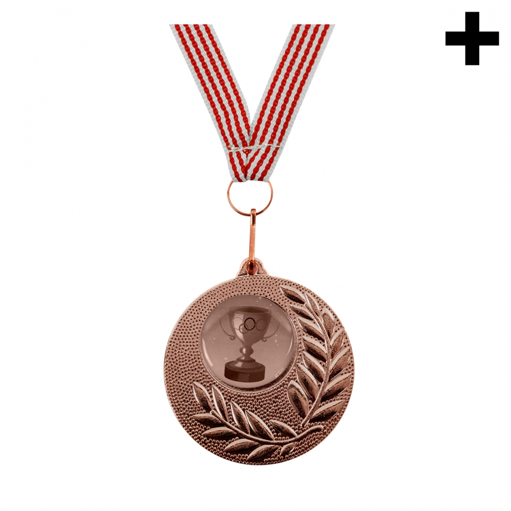 Imagen en la que se ve el plural del concepto medalla de bronce