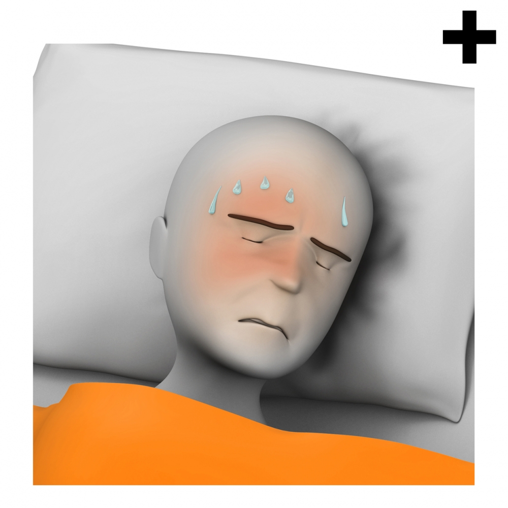 Imagen en la que se ve el plural del concepto enfermo