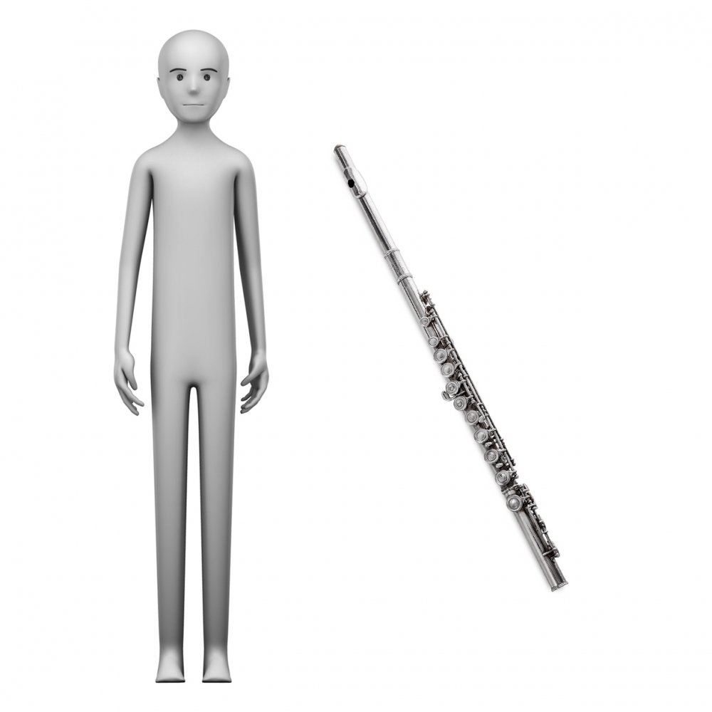 Imagen en la que se ve el concepto de profesión flautista