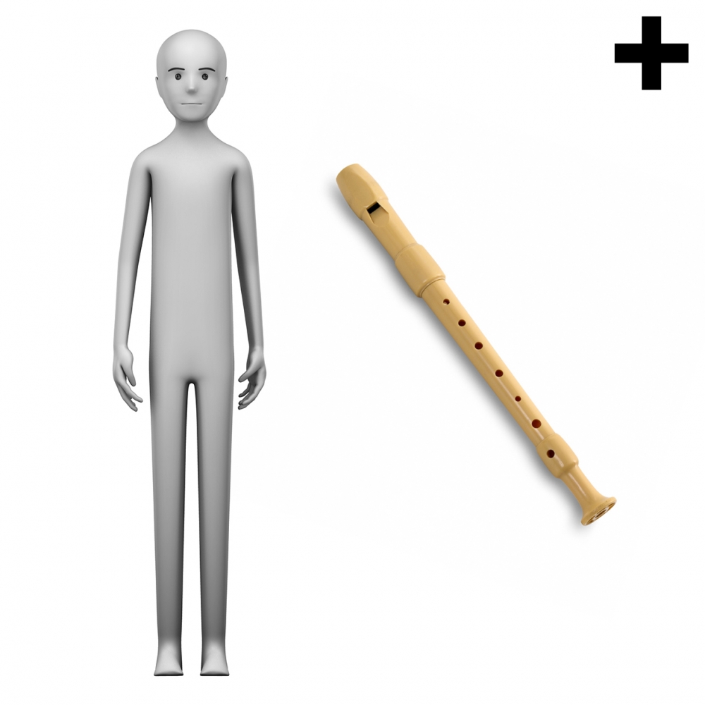 Imagen en la que se ve el plural del concepto flautista