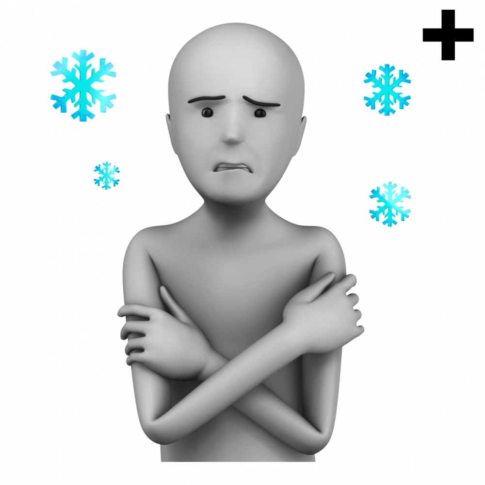 Imagen en la que se ve el plural del concepto friolero