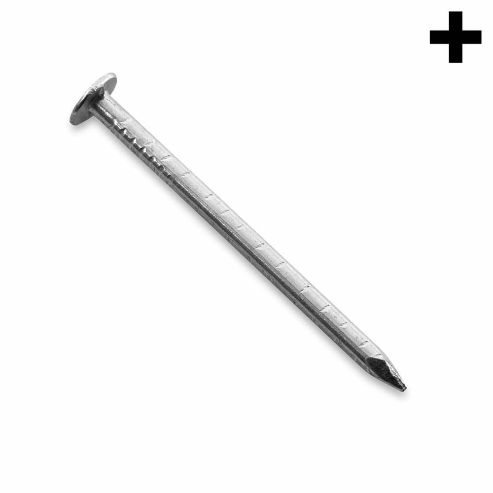 Imagen en la que se ve el plural del concepto clavo