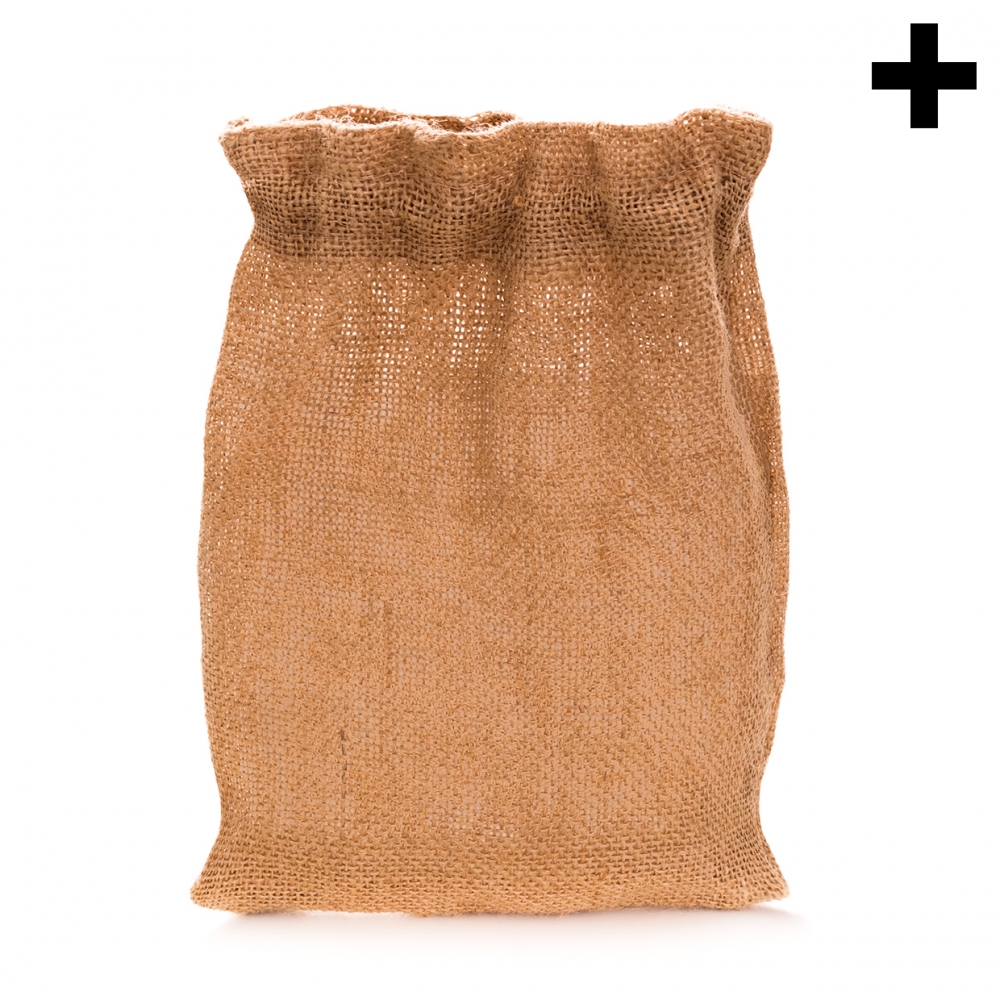 Imagen en la que se ve el plural del concepto saco