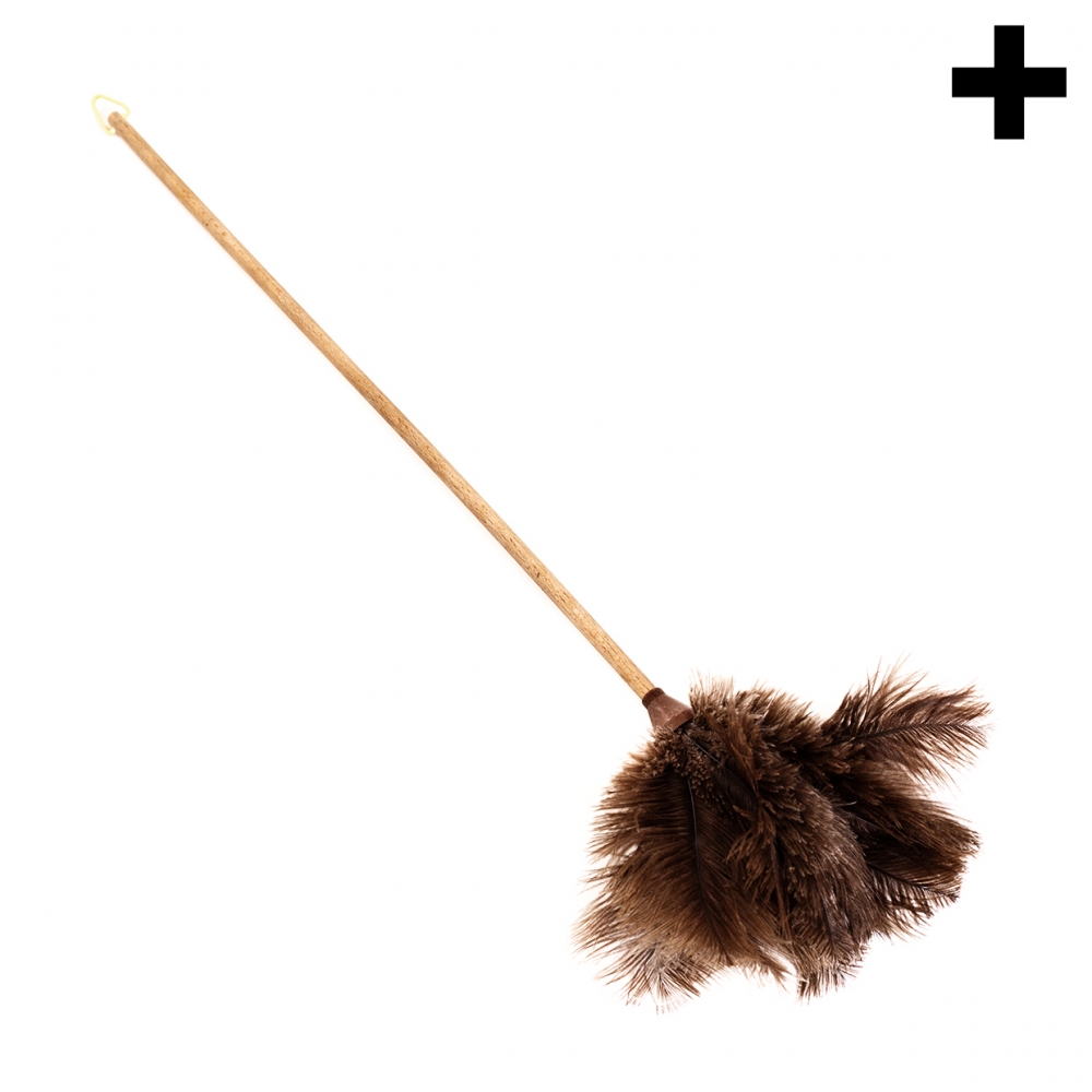 Imagen en la que se ve el plural del concepto plumero