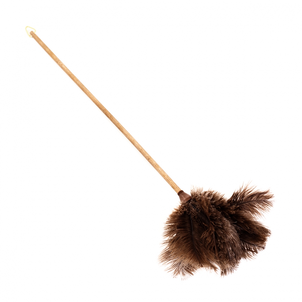 Imagen en la que se ve un plumero