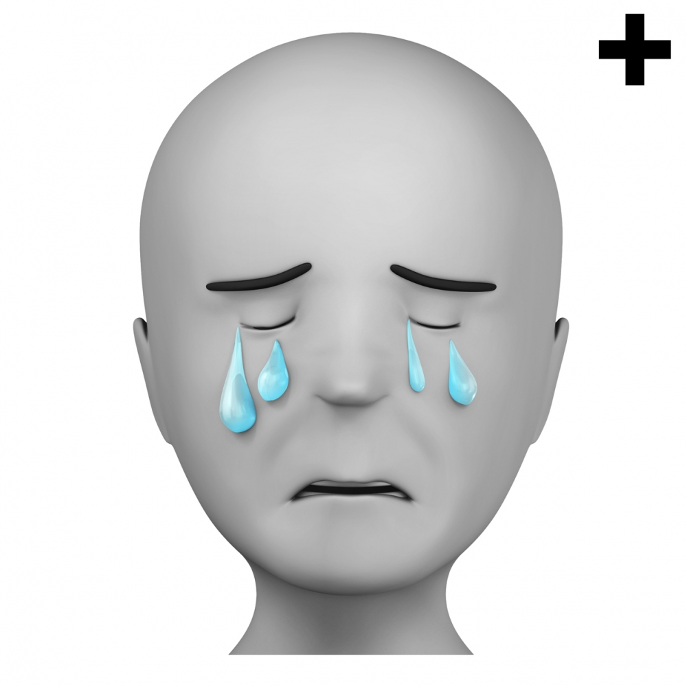 Imagen en la que se ve el plural del concepto lloroso