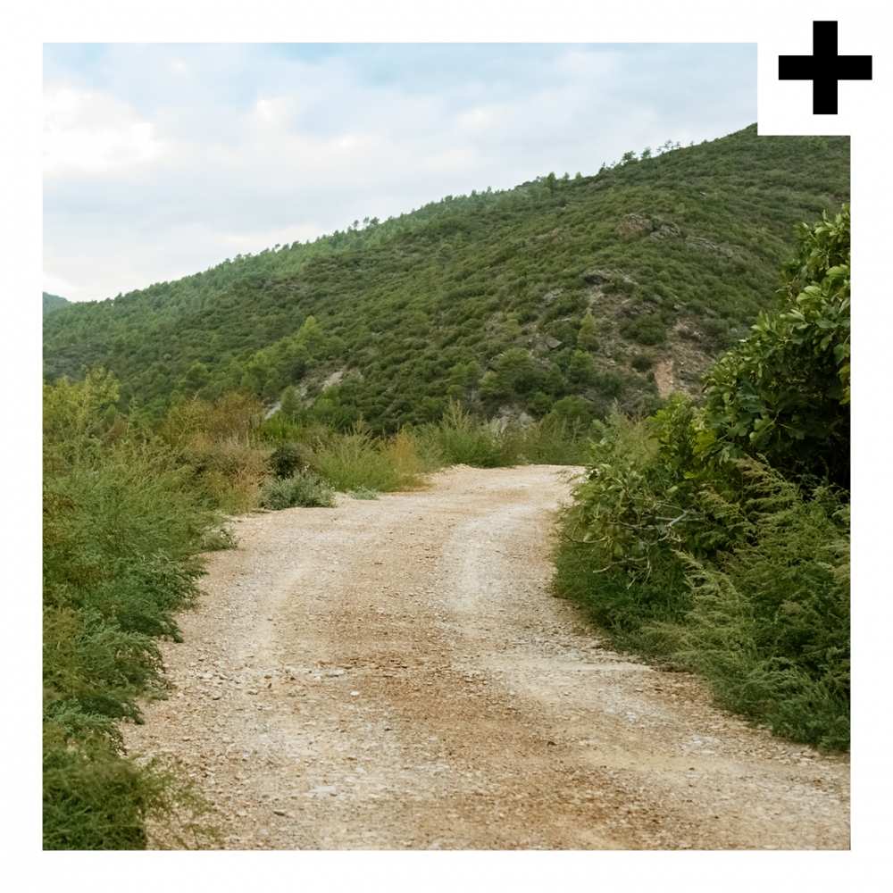 Imagen en la que se ve el plural del concepto camino