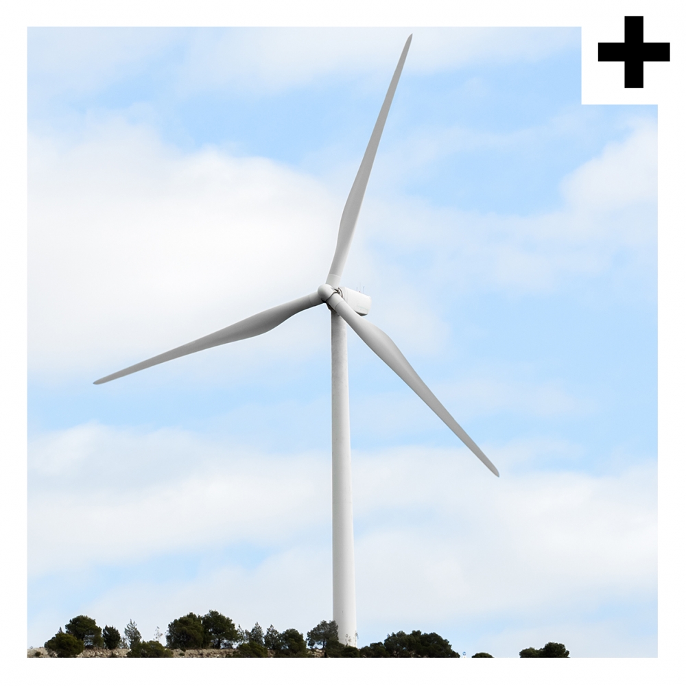 Imagen en la que se ve el plural del concepto molino de viento