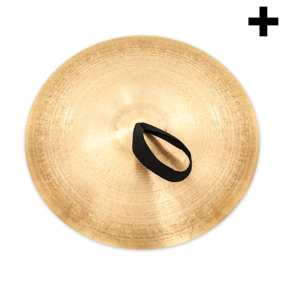 Imagen en la que se ve el plural del concepto platillo