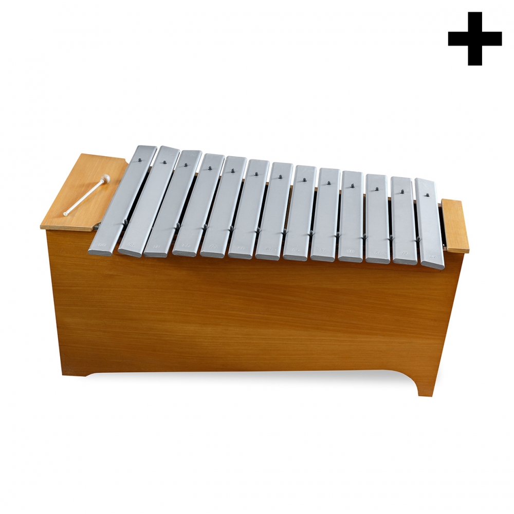 Imagen en la que se ve el plural del concepto xilófono