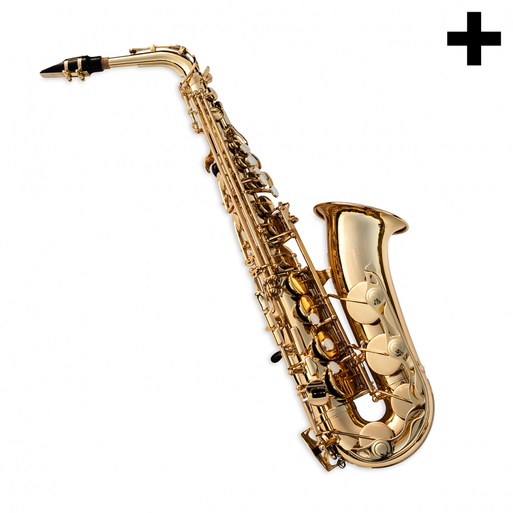 Imagen en la que se ve el plural del concepto saxofón