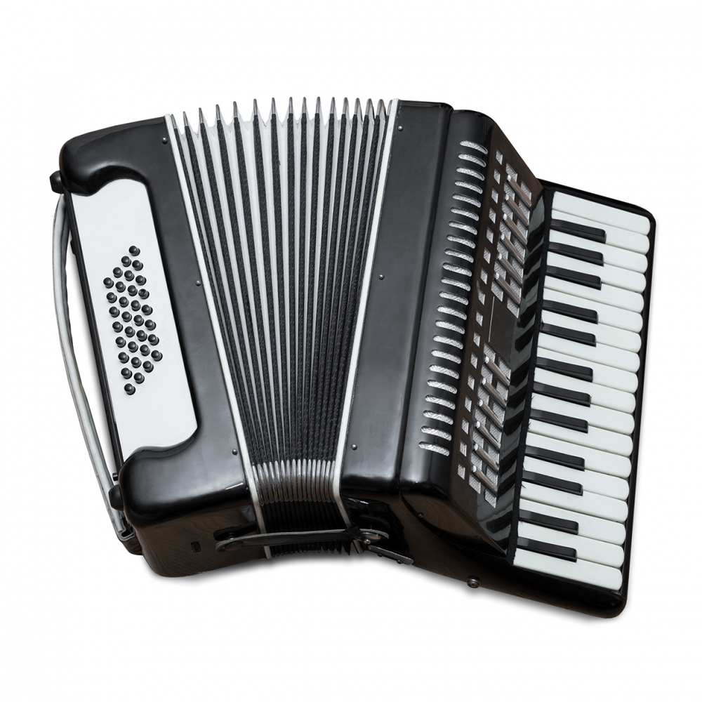 Imagen en la que se ve un acordeón