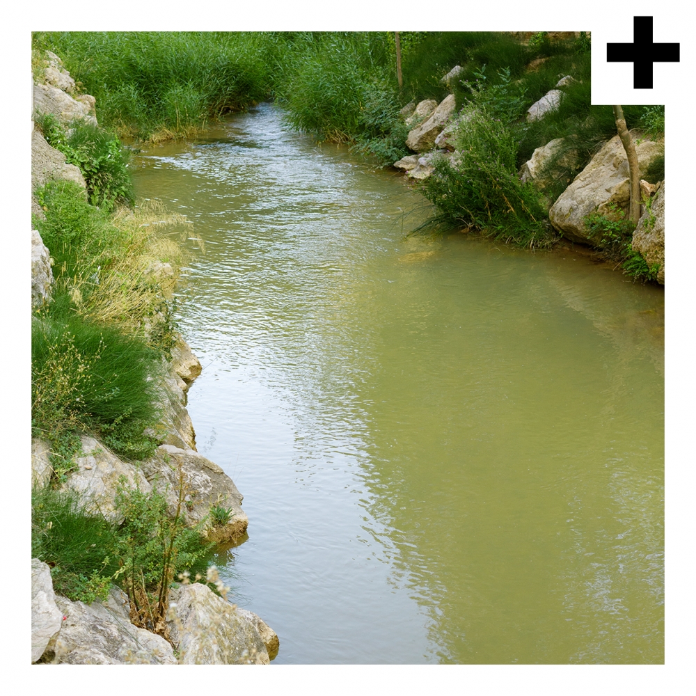 Imagen en la que se ve el plural del concepto río