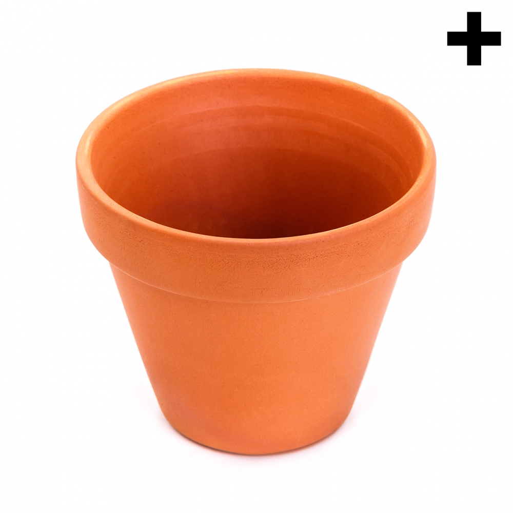 Imagen en la que se ve el plural del concepto maceta