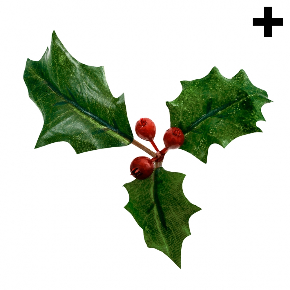 Imagen en la que se ve el plural del concepto acebo de Navidad