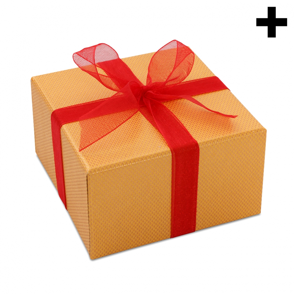 Imagen en la que se ve el plural del concepto regalo