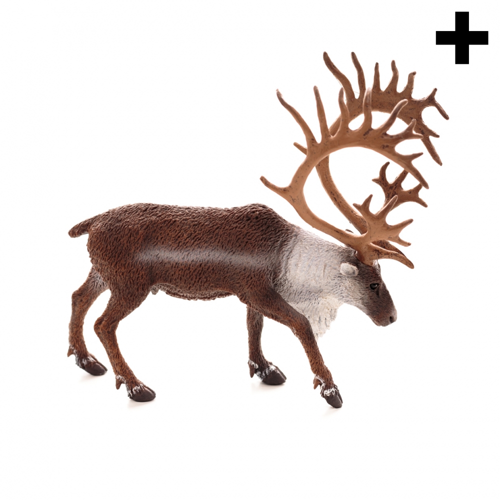 Imagen en la que se ve el plural del concepto reno