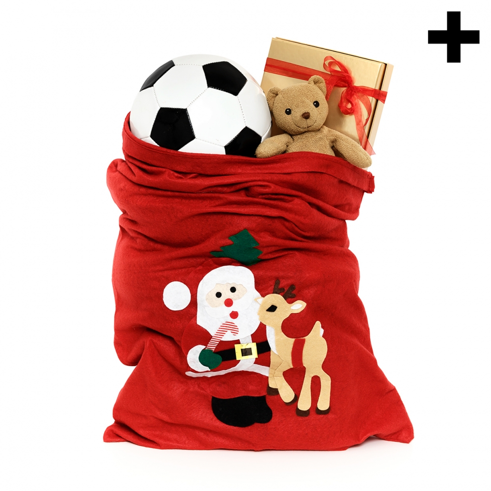 Imagen en la que se ve el plural del concepto saco de juguetes