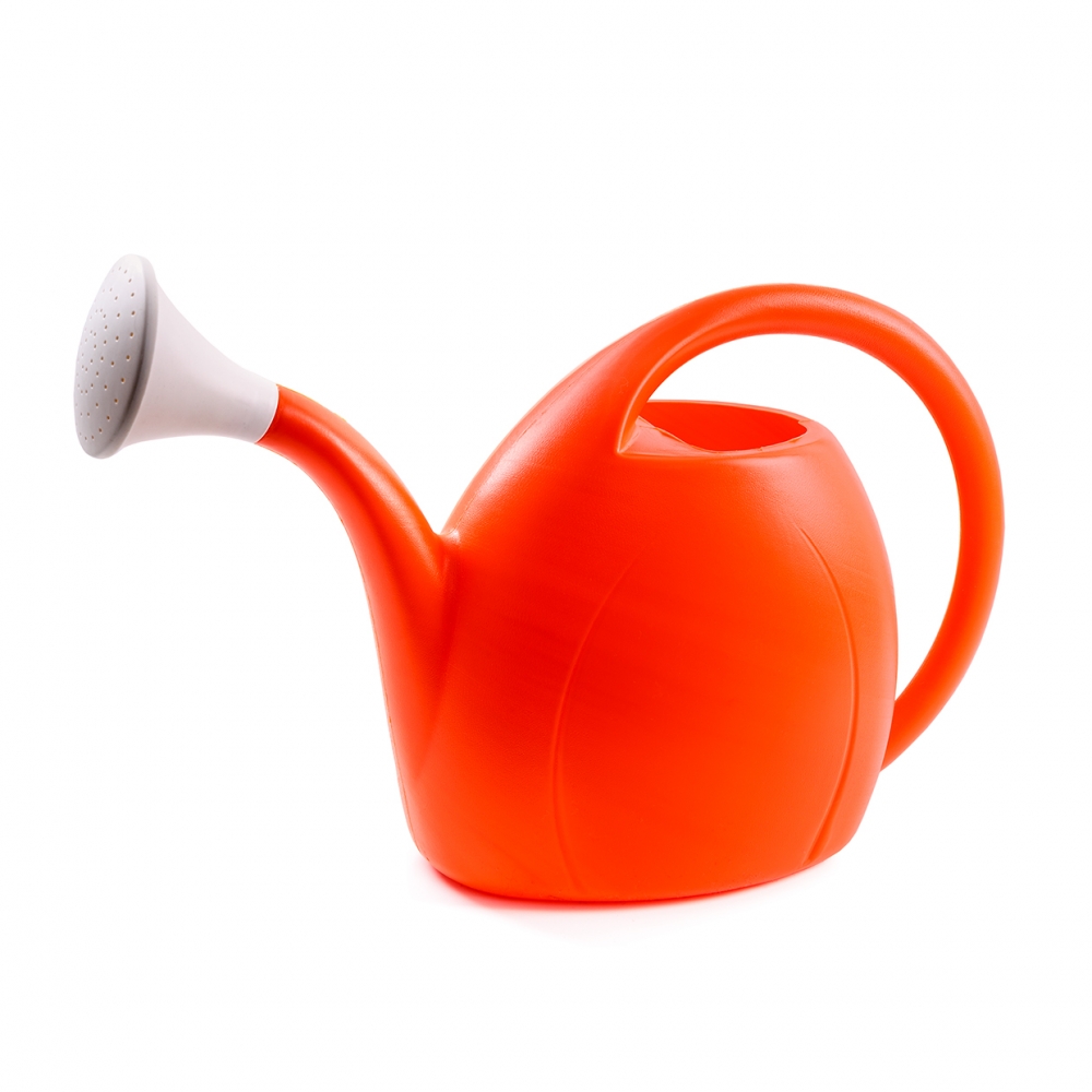 Imagen en la que se ve una regadera