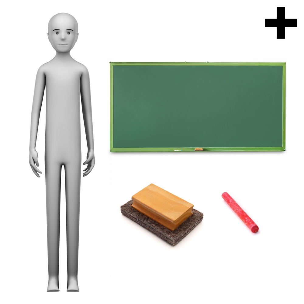 Imagen en la que se ve el plural del concepto profesor