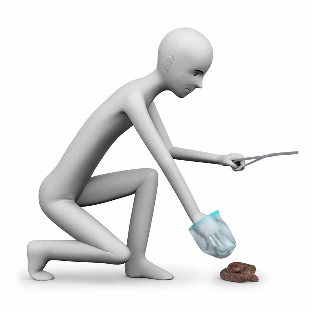 Una persona recoge una caca de perro del suelo