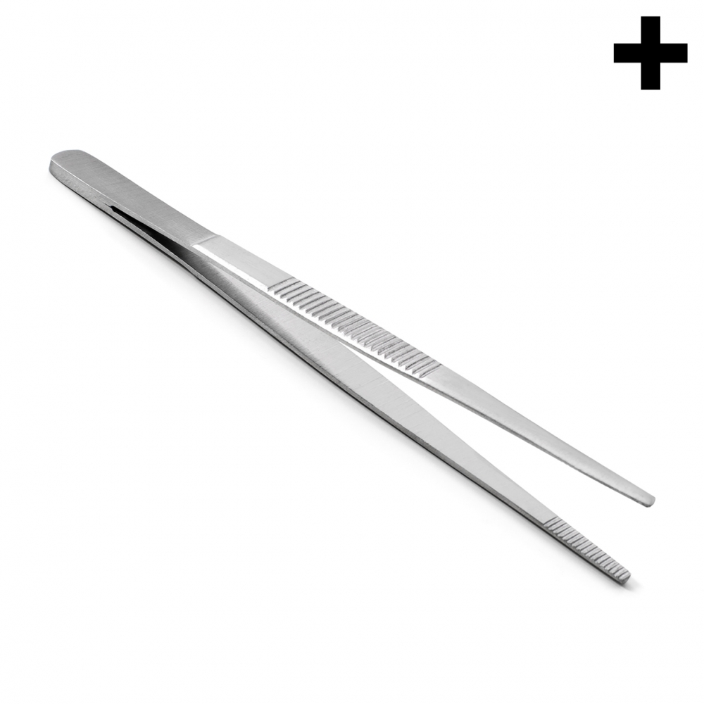 Imagen en la que se ve el plural del concepto pinza de botiquín