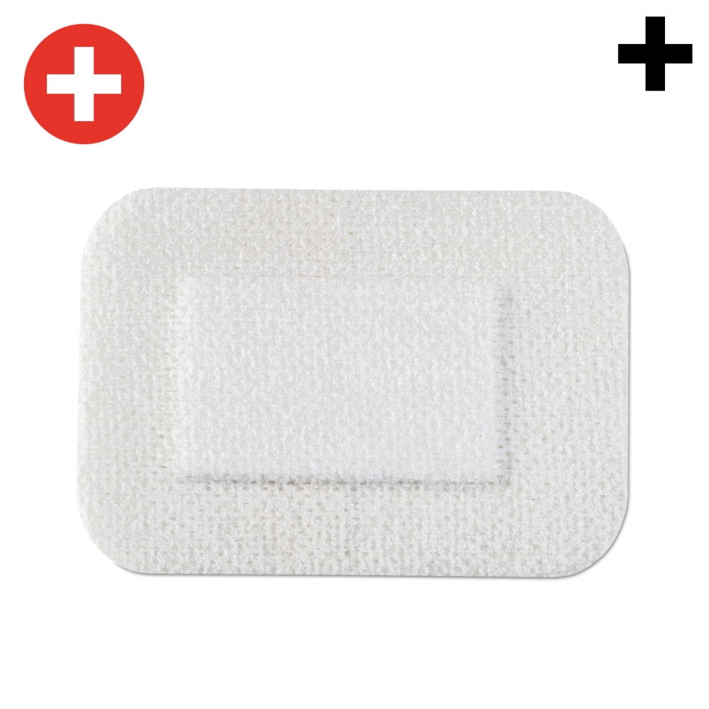 Imagen en la que se ve el plural del concepto apósito