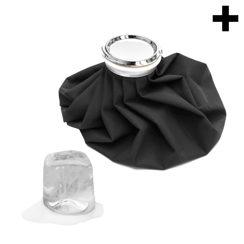 Imagen en la que se ve el plural del concepto bolsa de hielo