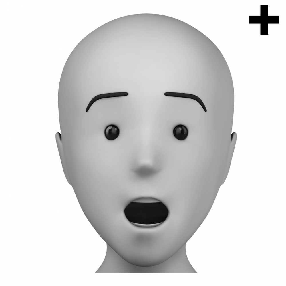 Imagen en la que se ve el plural del concepto sorprendido