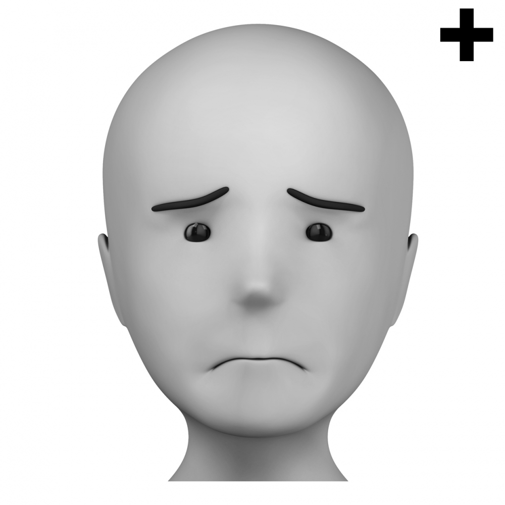 Imagen en la que se ve el plural del concepto triste