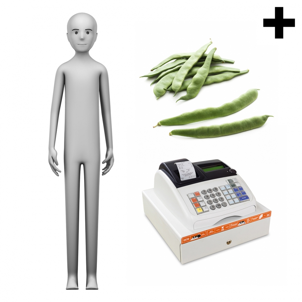 Imagen en la que se ve el plural del concepto verdulero o verdulera