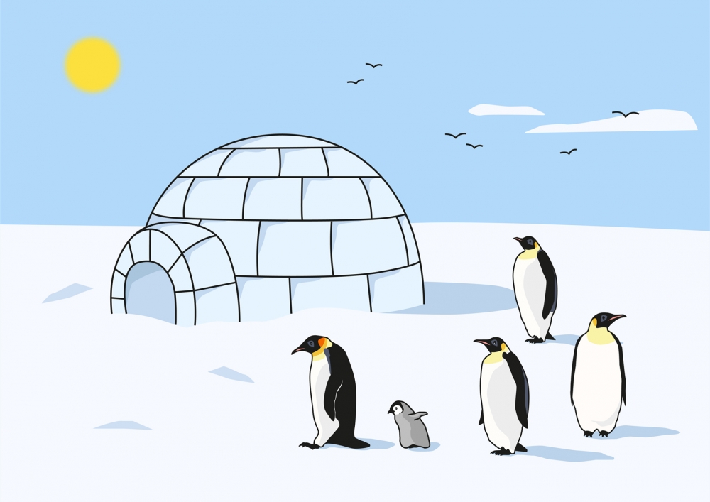 Los pingüinos están fuera del iglú