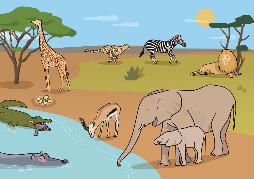 Escena en la que se ven varios animales salvajes en la sabana