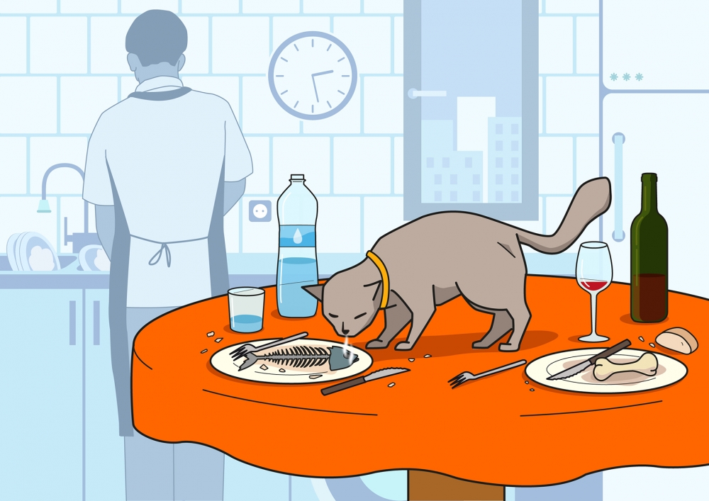 En la escena, podemos observar un gato encima de la mesa y oliendo la espina de un pescado recién comido. Al fondo, vuelto de espaldas, el padre lava la vajilla y los cubiertos en el fregadero tras la comida. Se observan también otros alimentos, bebidas y utensilios utilizados durante la comida.