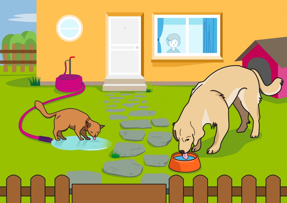 En la escena, se observa a un perro y un gato bebiendo agua en el jardín de la casa. El perro bebe el agua directamente del plato y el gato bebe el agua de un charco.